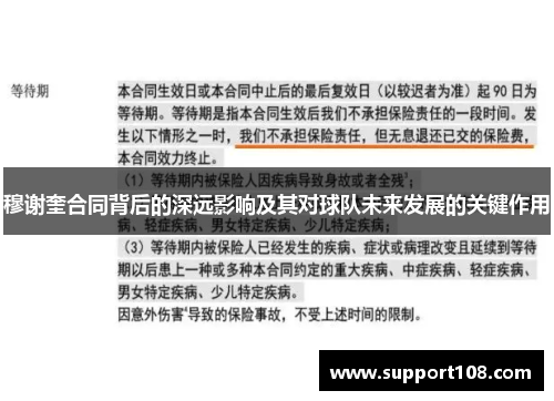 穆谢奎合同背后的深远影响及其对球队未来发展的关键作用