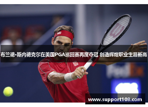 布兰德·斯内德克尔在美国PGA巡回赛再度夺冠 创造辉煌职业生涯新高 布兰德·斯内德克尔在美国PGA巡回赛再度夺冠 创造辉煌职业生涯新高