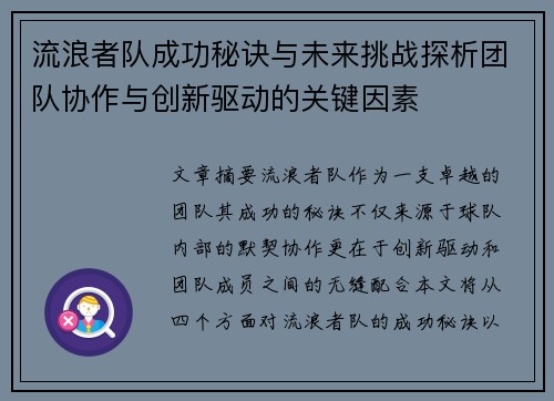 流浪者队成功秘诀与未来挑战探析团队协作与创新驱动的关键因素
